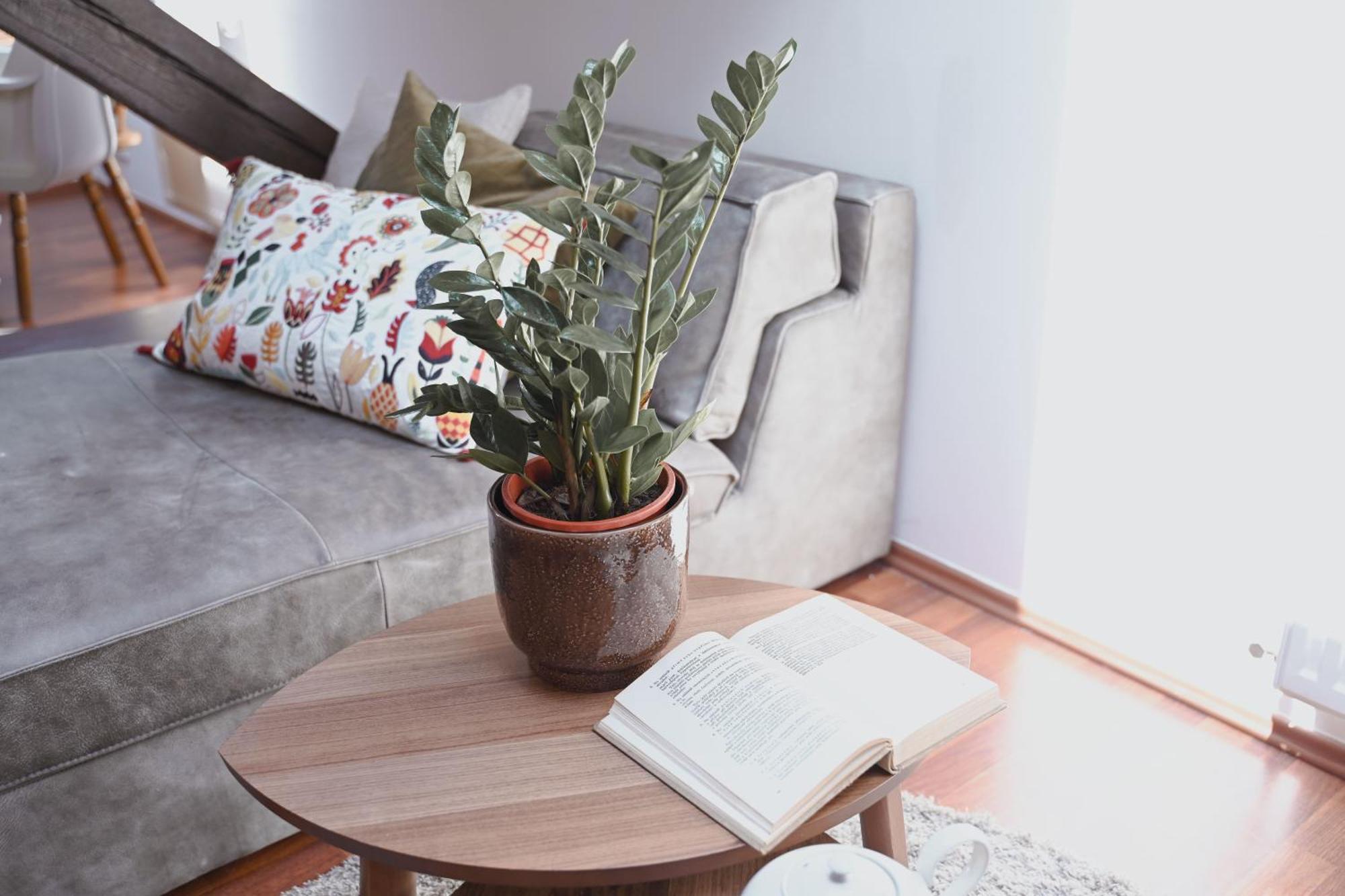 Bohemian Symphony Apartment ปราก ภายนอก รูปภาพ